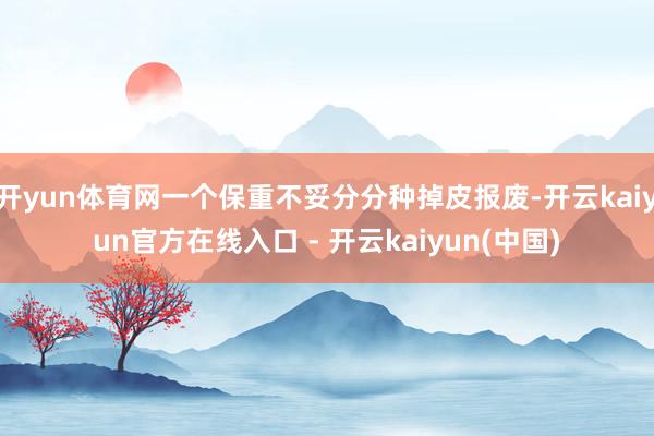 开yun体育网一个保重不妥分分种掉皮报废-开云kaiyun官方在线入口 - 开云kaiyun(中国)