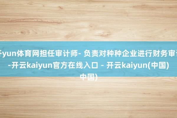 开yun体育网担任审计师- 负责对种种企业进行财务审计-开云kaiyun官方在线入口 - 开云kaiyun(中国)