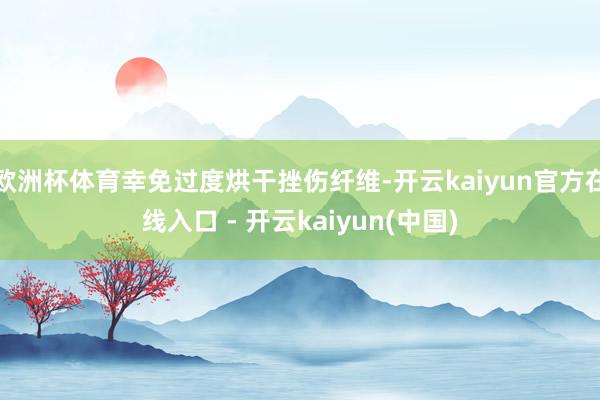 欧洲杯体育幸免过度烘干挫伤纤维-开云kaiyun官方在线入口 - 开云kaiyun(中国)